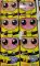 Honey bee